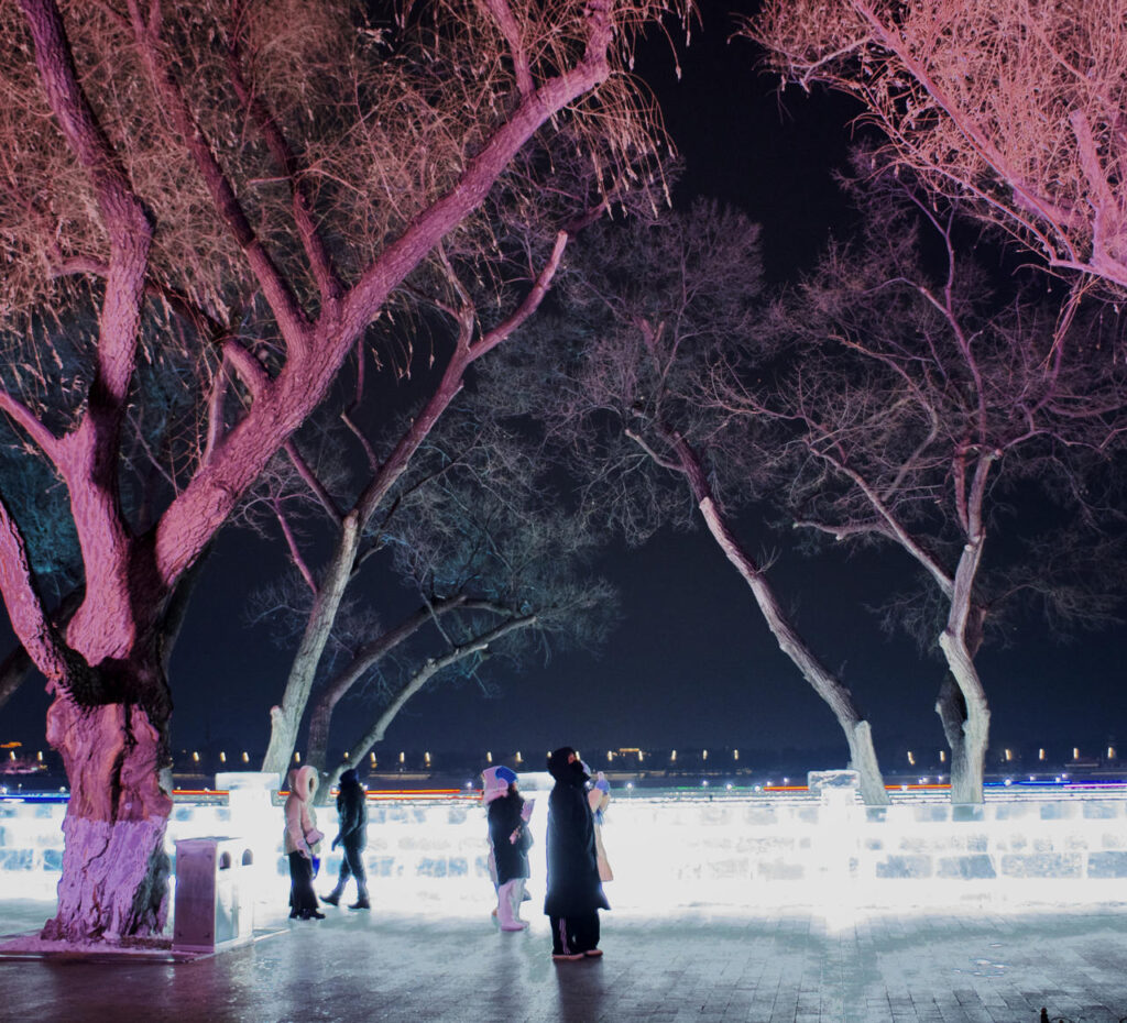Couples and visitors stand along an illuminated ice fence beneath bare winter trees on a cold night in Harbin.