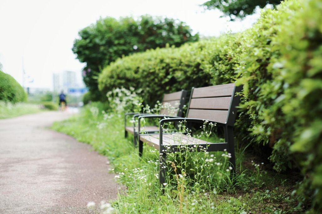 A park bench photographed with a Nikon D610 and Nikkor 55mm F1.2 AI, with the nearest bench in sharp focus against a softly blurred background.